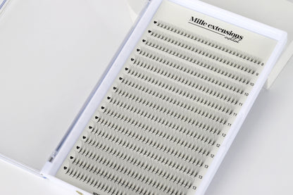 Bouquets préfaits 6D