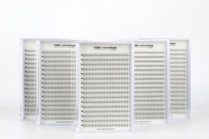 Bouquets préfaits 6D